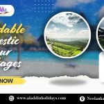 Affordable Domestic Tour Packages